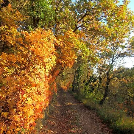 Apartma Qbed * Gračišče