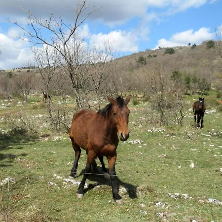 Apartma Qbed Apartment *