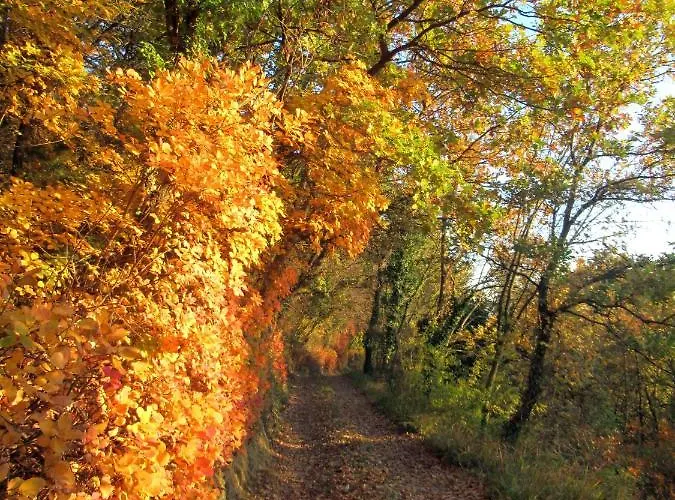 Apartma Qbed * Gračišče